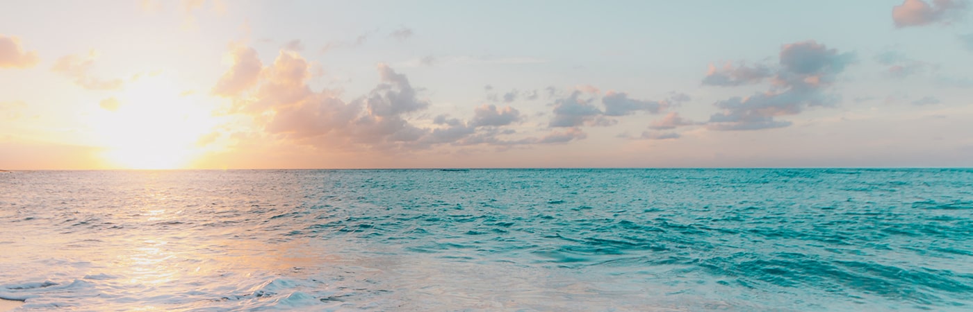 Read more about the article A New Beginning – 21 Days in the Word