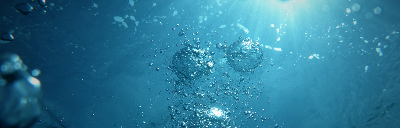 Read more about the article Complete Sanctification – 21 Days in the Word