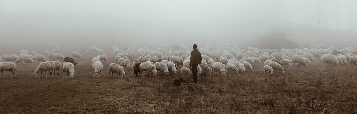 Read more about the article Follow Me – 21 Days in the Word