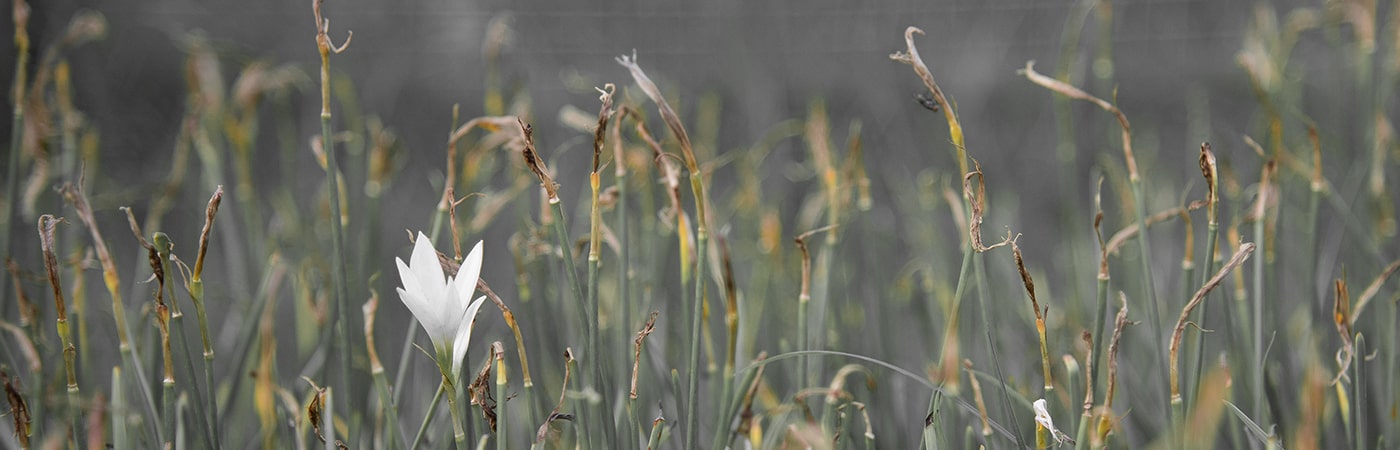 Read more about the article Ministry of Encouragement – 21 Days in the Word