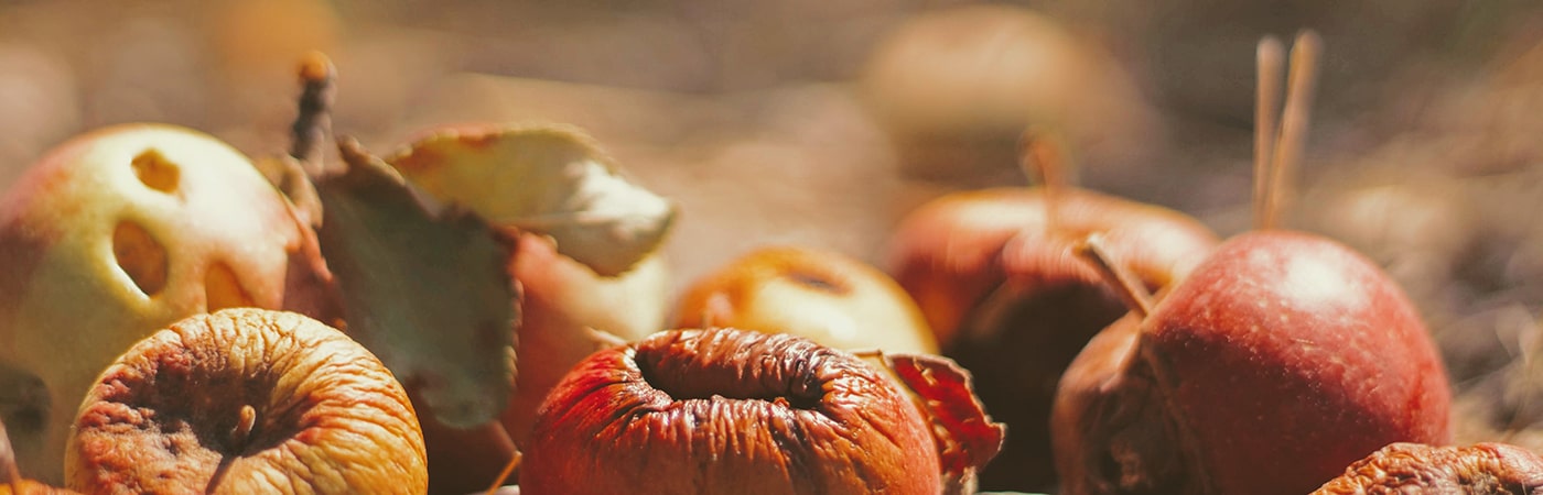 Read more about the article Wasted Potential – 21 Days in the Word