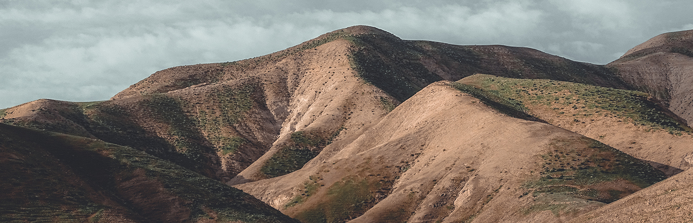 Read more about the article Back to Bethel – 21 Days in the Word