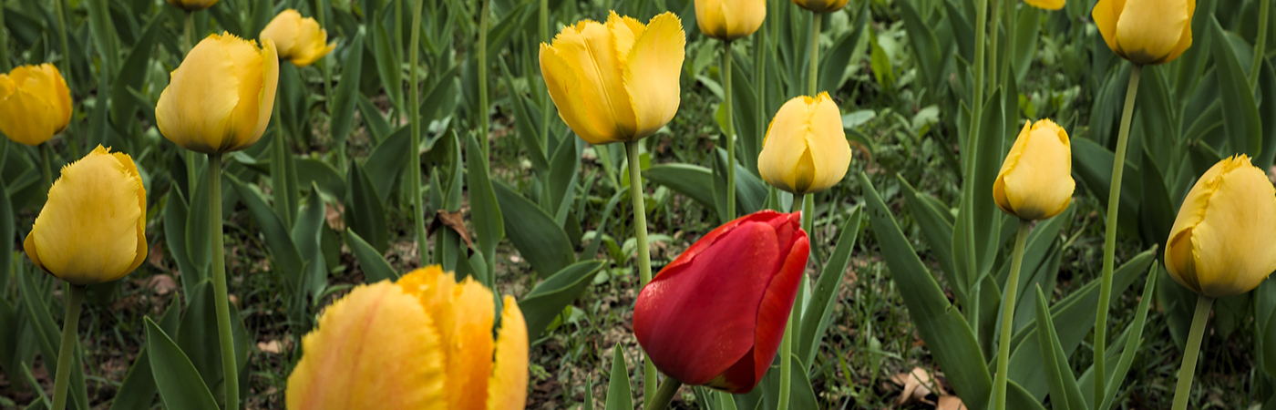 Read more about the article Beware of Hypocrisy – 21 Days in the Word