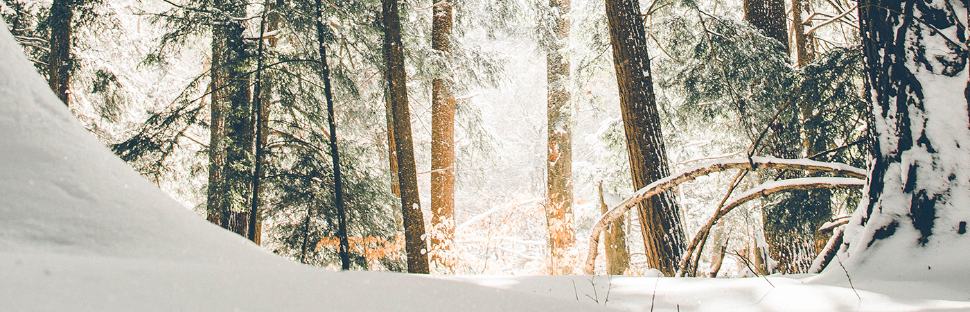 Read more about the article Come Before Winter – 21 Days in the Word