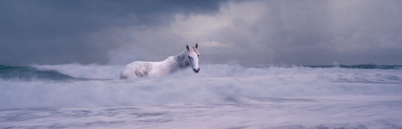 Read more about the article The End Game – 21 Days in the Word